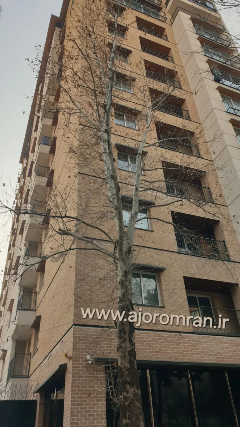 اجرای نمای آجری پروژه مهندس شیردل – خیابان دروس تهران